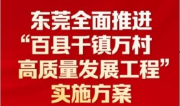 东莞王先生最新爆料新闻,揭秘事件背后惊人真相